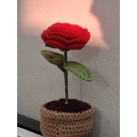 ROSIE the Yarn-Plant