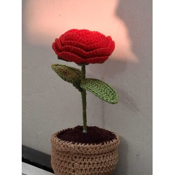 ROSIE the Yarn-Plant