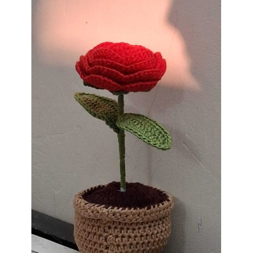 ROSIE the Yarn-Plant